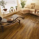 Iroko Parkett Goldakazie